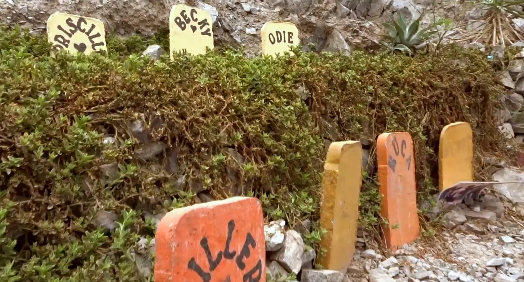 ¿Hay algún Cementerio de Mascotas en Lima?