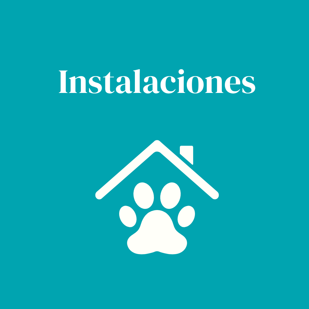 Crematorio de Mascotas Eterno Amigo