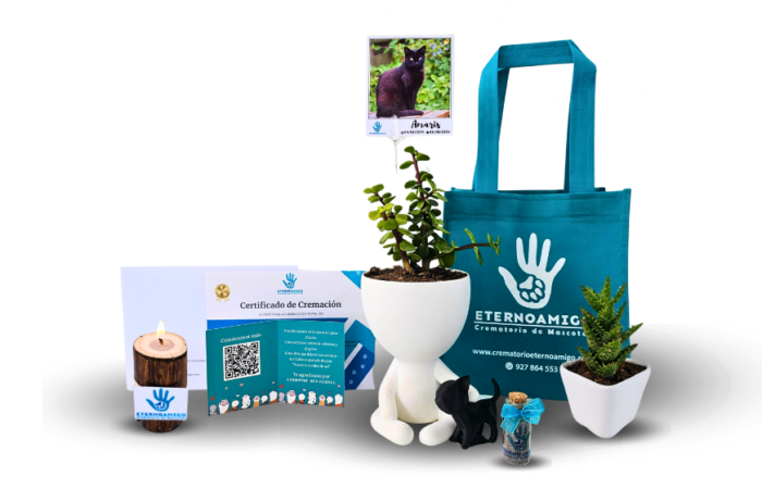 Crematorio de Mascotas Eterno Amigo Maceta Biodegradable