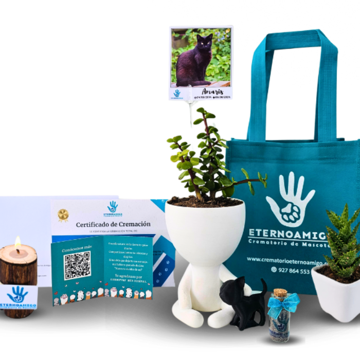 Crematorio de Mascotas Eterno Amigo Maceta Biodegradable