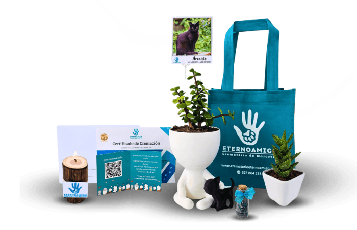 Maceta Biodegradable